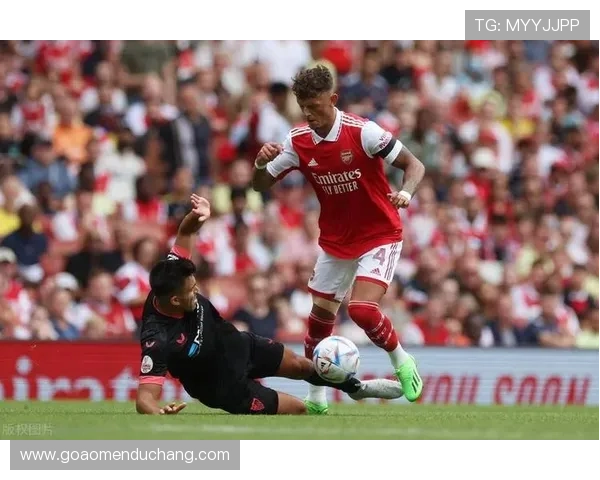 水晶宫主场名称的变更对球队文化认同的影响分析