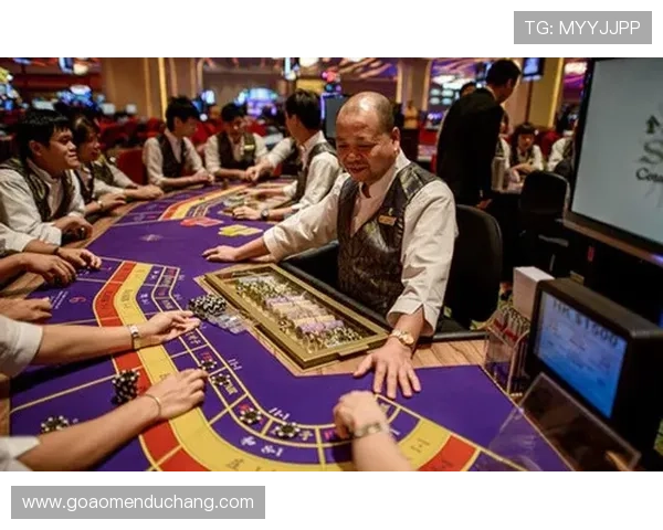 澳门角子机历史发展与未来趋势预测助你把握行业动态