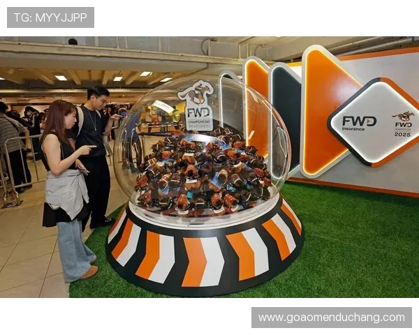 澳门赛马日活动全攻略，精彩赛事、丰富娱乐一站式体验指南