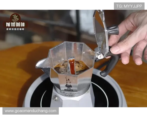 百宝来摩卡：使用技巧与日常维护指南全解析