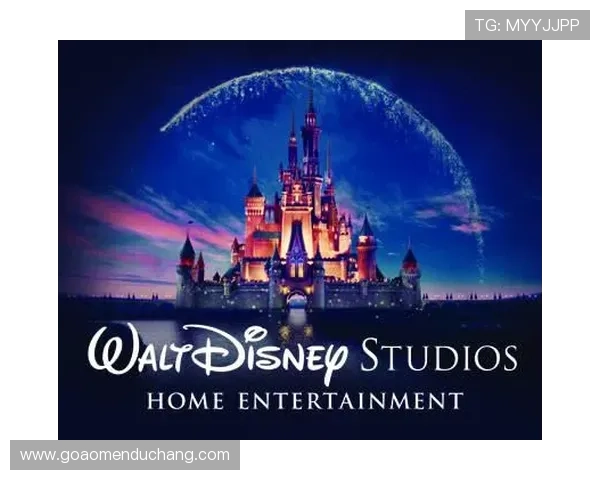 澳门银河娱乐集团有限公司全面解析其发展历程与行业地位，助你深入了解行业巨头的成功秘诀