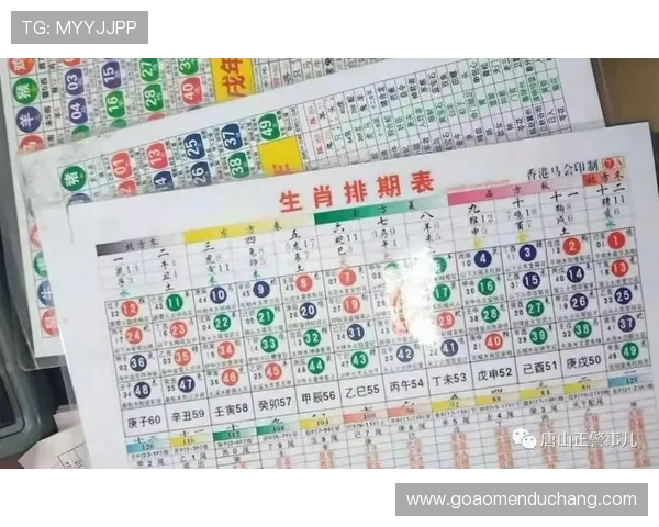 利用六合彩官方入口实现多渠道投注，提升中奖几率的实用方法