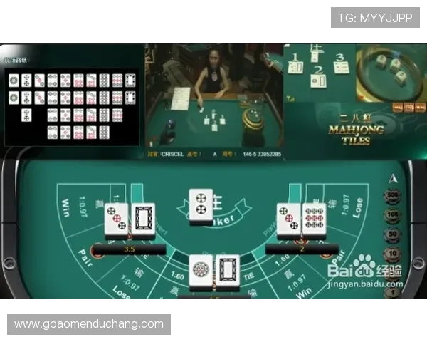 wm真人真人游戏的公平性和玩法多样性分析 wm真人真人游戏的公平性和玩法多样性分析