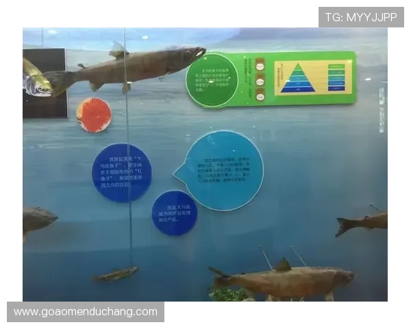 博鱼真人官方为玩家打造最公平公正的游戏环境保证每一次游戏都值得信赖权威认证