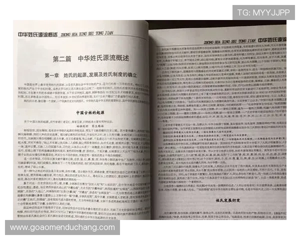 澳门何家族谱查询指南：如何快速找到家族历史资料