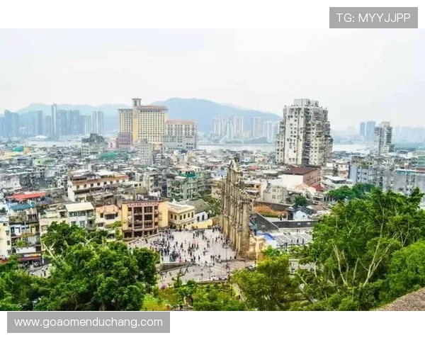 探秘澳门新濠天地官方APP的最新功能与使用技巧提升您的娱乐体验