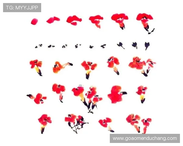 暴富视讯官网首页指南，快速注册流程和平台安全保障措施详尽解析