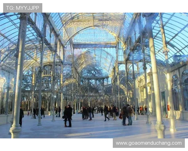 水晶宫主场在哪：详细介绍伦敦塞维尔度体育场的具体位置和交通方式