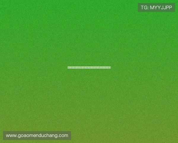 伊朗主帅在赛前新闻发布会上表达对对手的尊重与比赛的积极准备