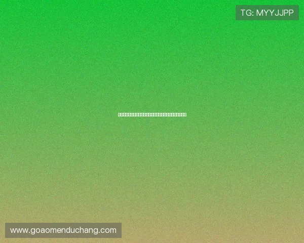 美高梅金殿超濠股份有限公司的财务状况与投资价值全面评估